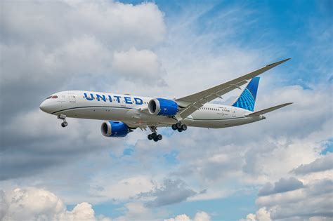 787 windows