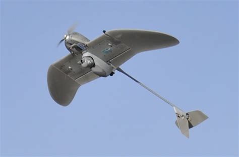 AeroVironment Wasp AE drone