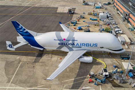 Airbus BelugaXL airborne with distinctive cargo fuselage