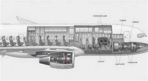 aircraft cabin seating diagram highlighting front middle rear safety zones