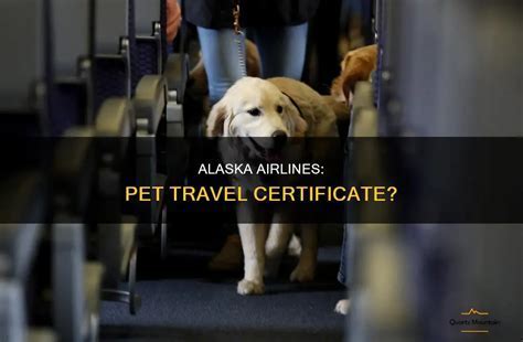 alaska airlines pet travel baggage compartment checklist