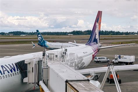 alaska and hawaiian airlines branded aircraft at joint gate in honolulu international airport