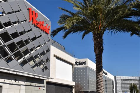 american eagle team members working san jose retail job