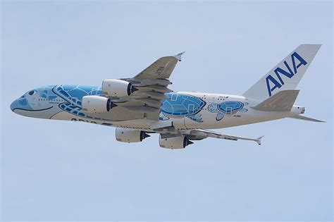 ANA A380 with Flying Honu livery at Narita Airport ready for departure to Honolulu