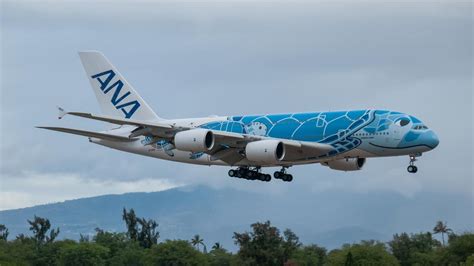 ANA Flying Honu Airbus A380 at Honolulu International Airport