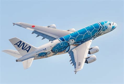 ANA Flying Honu Airbus A380 turtle livery close view