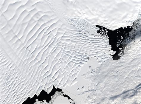 Arctic residents swimming in the Mackenzie River under unprecedented heat
