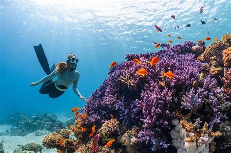 belize barrier reef snorkeling aerial view eco tourism from montreal travelers
