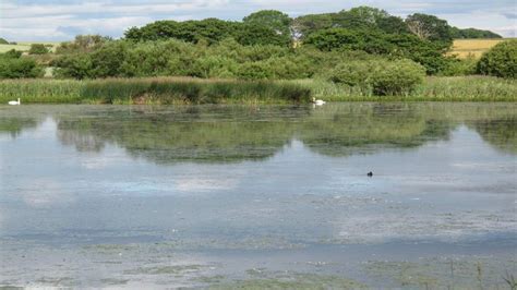birdwatchers at newton pool bird reserve spotting seabirds near embleton
