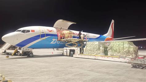 Boeing 737-800BCF cargo aircraft and Airbus A321P2F freighter conversion