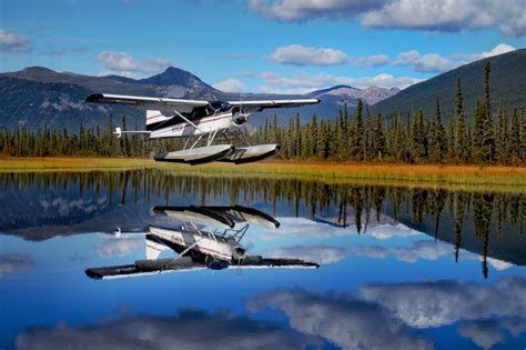 bush pilot flying low over northern wilderness at sunrise