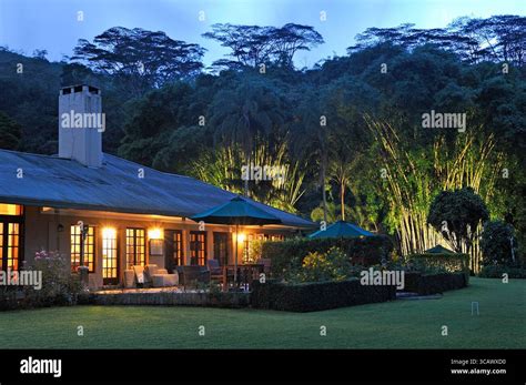 Camellia Hills infinity pool overlooking tea plantations and Castlereagh Lake