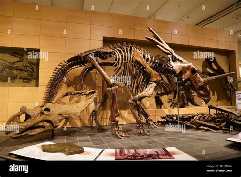 canadian museum of nature ottawa canada strong pass launch event