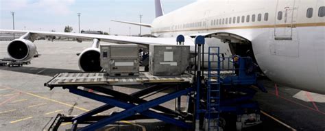 cargo operations at Las Américas Airport with Amerijet aircraft unloading pallets