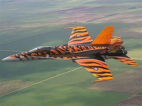 CF-18 2003 Tiger Meet