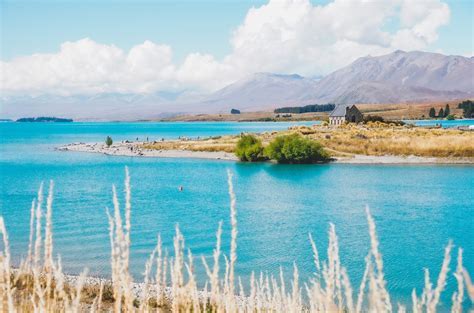 chinese family enjoying cultural experience in lake tekapo new zealand