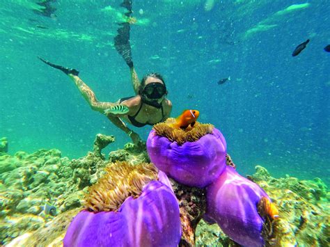 Club Med Cancun family beach activities and coral reef diving