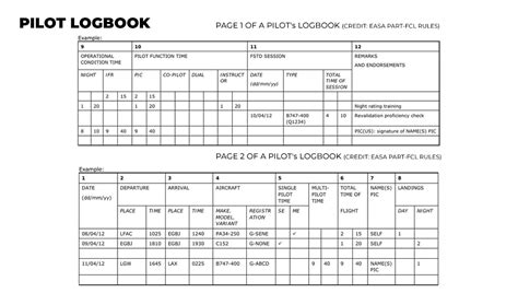 contract pilot logging hours in SR22 aircraft for high-net-worth individual day trips