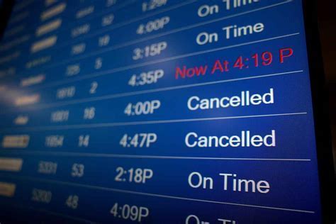 ctrip customer checking real-time flight status and refund policy online