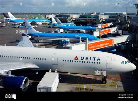 delta and klm widebodies at amsterdam schiphol terminal during peak travel season