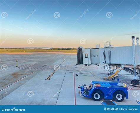 delta cargo employee in training using ground equipment at sunrise on tarmac