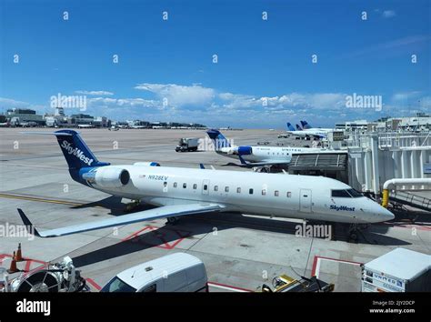 denver international airport united aircraft at gate during evening hours