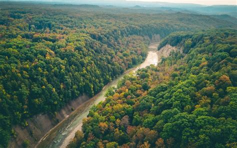 drone aerial of Zoar Valley gorge with fall foliage and flowing river