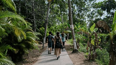 eco-tourists visiting nuku’alofa waterfront clean-up site with local guides and interpretive signs