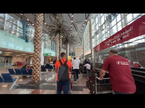 egyptair boarding at cairo international airport during evening hours