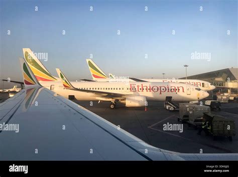 Ethiopian Airlines aircraft fleet lined up at Bole International Airport