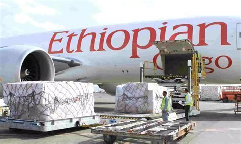 Ethiopian Airlines Cargo plane being loaded with goods