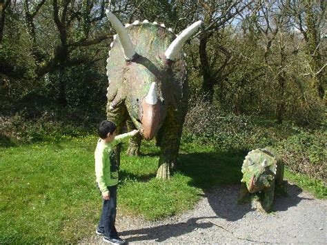 Family fun at Dinosaur Park in Tenby