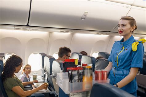 flight attendant serving meals airplane aisle organized cabin service