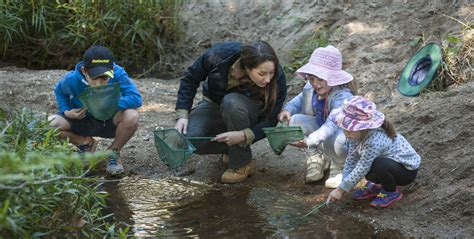Forest rehabilitation project in Troodos led by local schoolchildren and conservationists