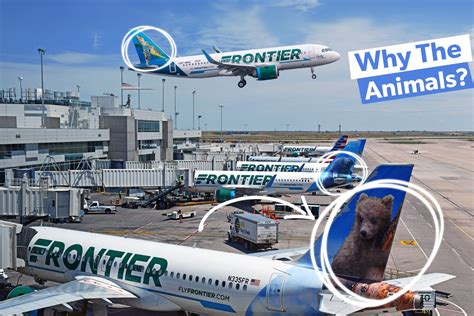 Frontier Airlines aircraft with animal tail design