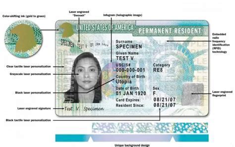 Green Card front and back highlighting travel document number location
