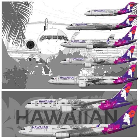 Hawaiian Airlines fleet lineup featuring Airbus A330 aircraft