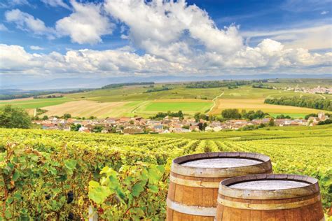 Helicopter flying over vineyards in the Champagne region of France