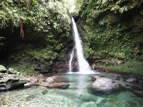 hot springs and tropical forest in Dominica with misty mountains