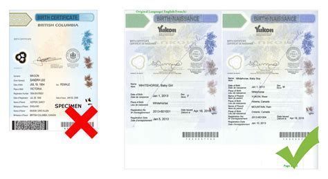 Immigration officer scanning travel documents for verification