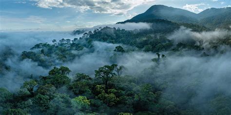 Indonesian R66 operating in Borneo rainforest region during disaster relief mission, 2022