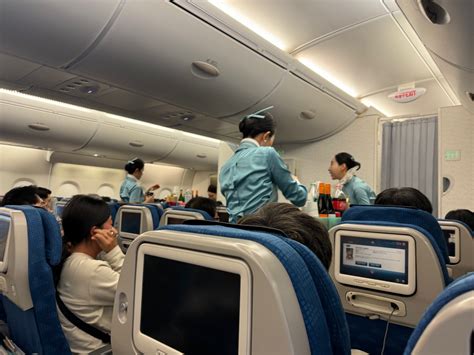 Korean Air economy class hot meal tray on short-haul flight PVG to ICN