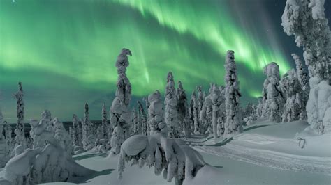 Lapland snowy landscape with Northern Lights and winter tourism activities