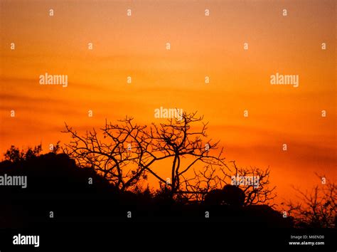 local guide walking with tourists in Matobo Hills at sunset