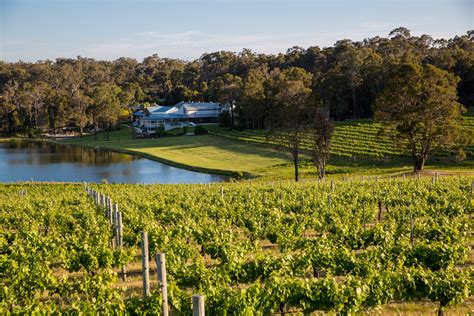 local vineyard owner in margaret river welcoming tourists to wine tasting