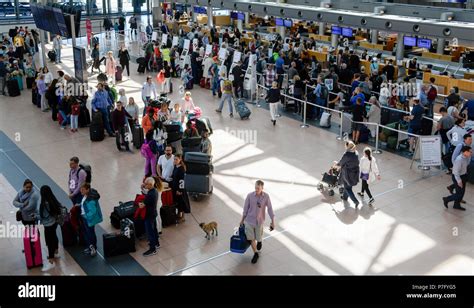 Long queues at Reagan National as passengers await rebooking amid cancellations