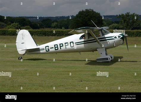 luscombe silvaire gleaming on grass beside pine forest edge
