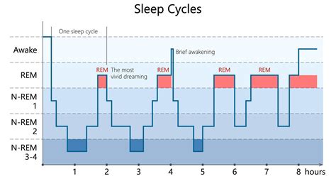 Matthew Walker explaining effects of REM sleep on memory retention
