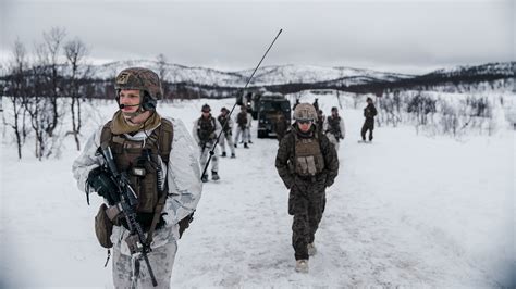 NATO Arctic joint exercise with RAF, US Marines, and Norwegian forces