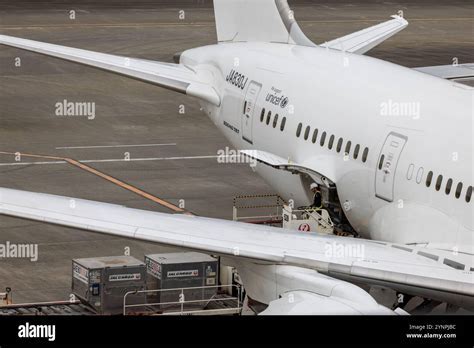 nippon cargo aircraft at JFK tarmac during cargo loading operation
